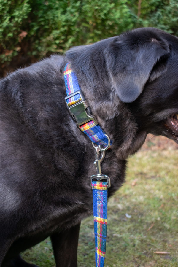 Tartan Dog Collar