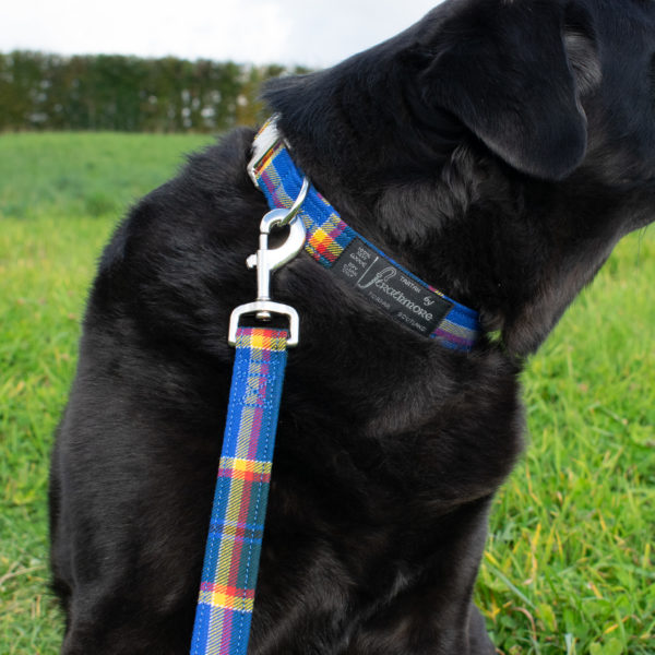 Tartan Dog Collar and Lead