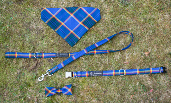 Tartan Dog Accessories