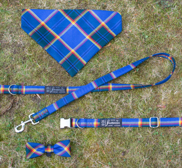 Tartan Dog Accessories