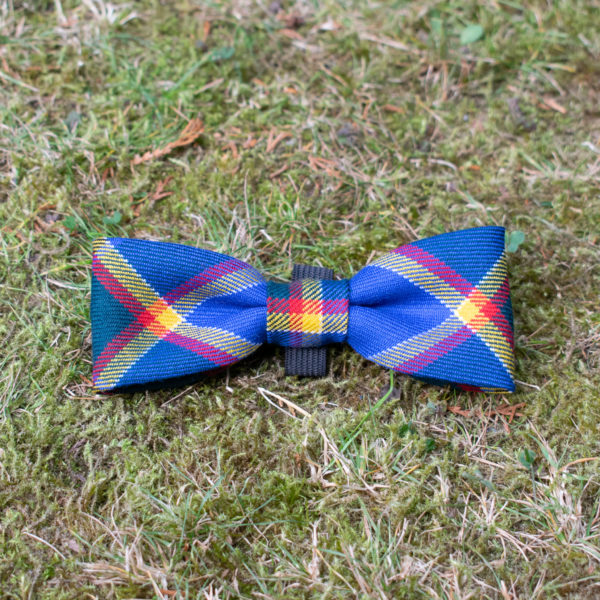 Guide Dog Tartan Dog Bow Tie