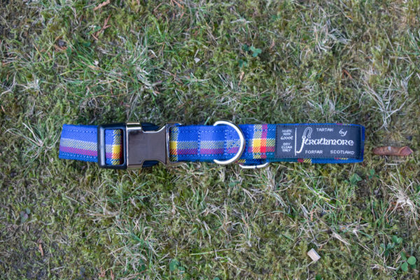 Tartan Dog Collar