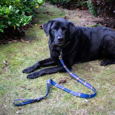 Dog with Tartan Lead