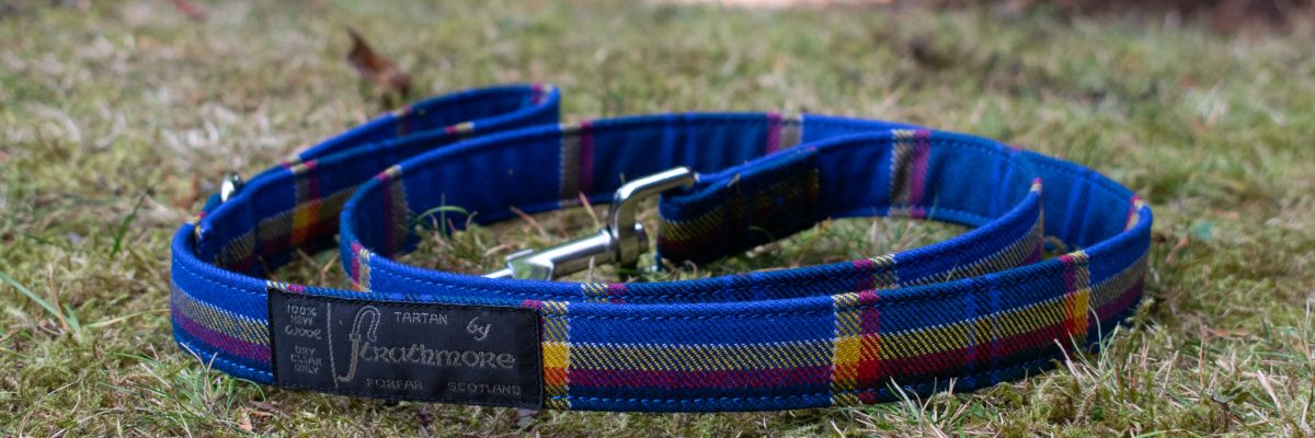 Tartan Dog Lead